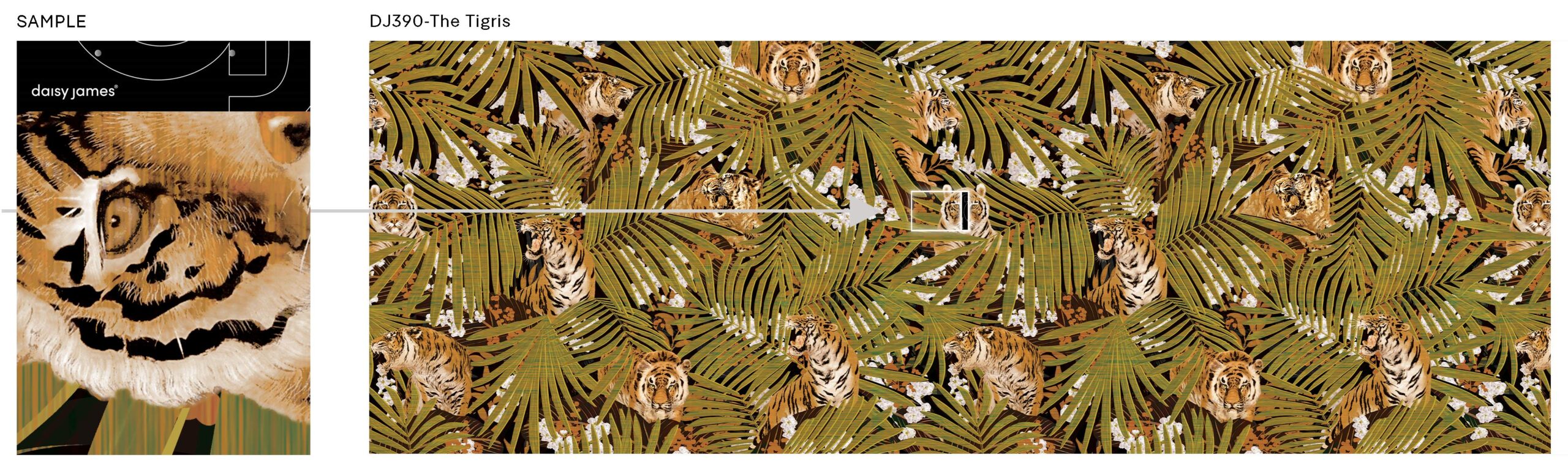 Daisy James | The Tigris