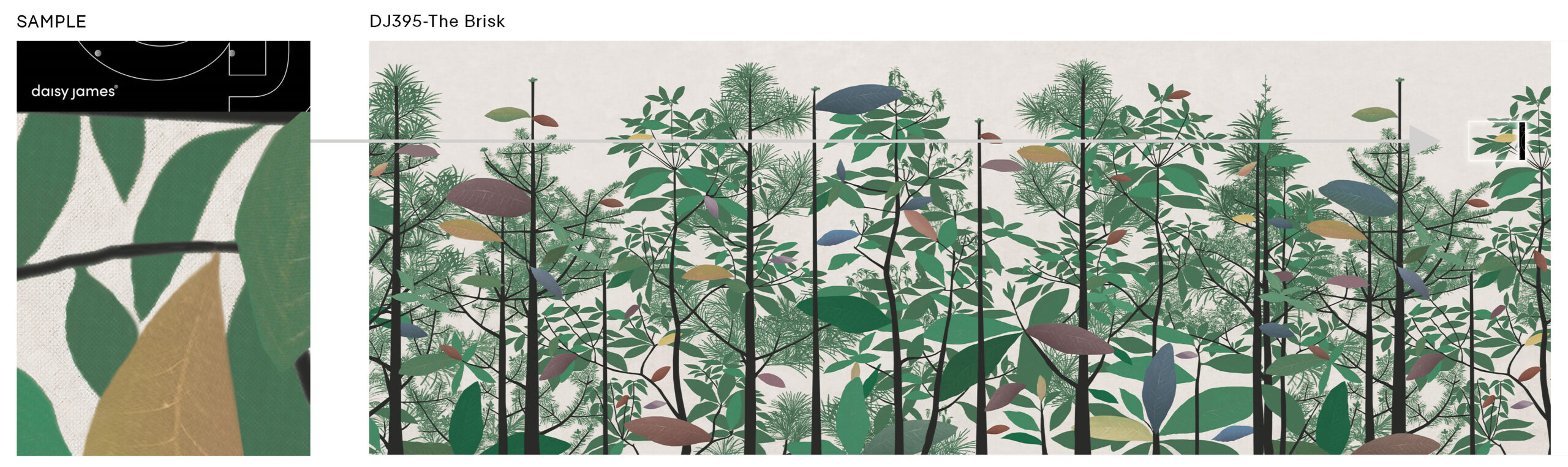 Daisy James | The Brisk