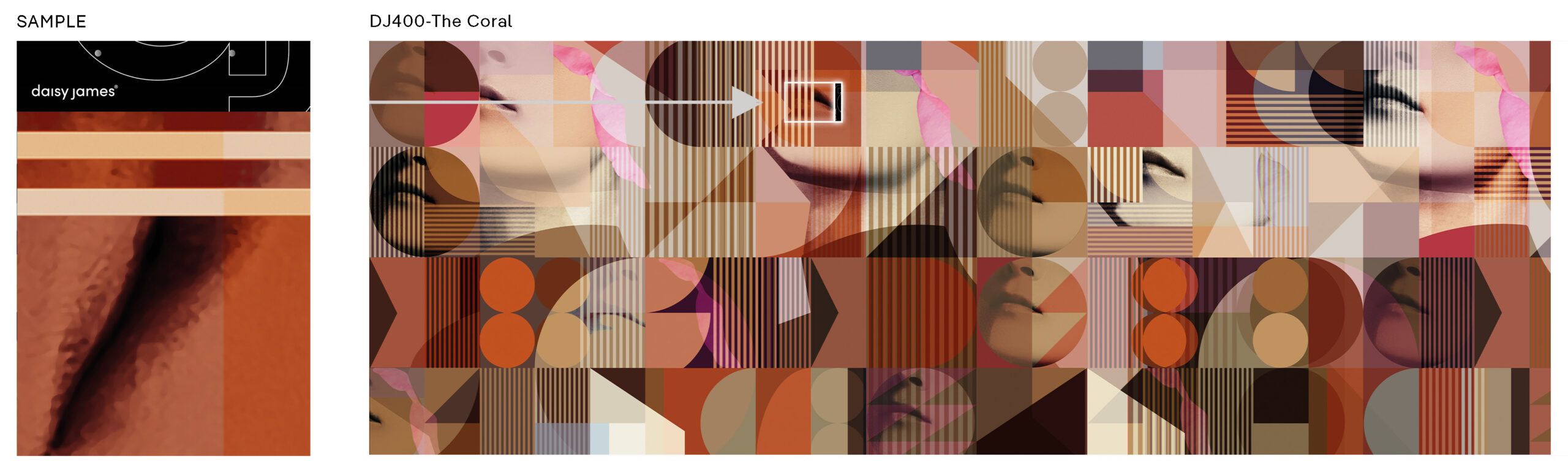 Daisy James | The Coral